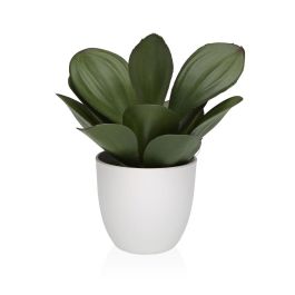 Planta Decorativa Versa Hierro Textil Plástico 25 x 23 cm