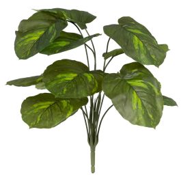 Rama Potos Verde "Pvc" 70 X 63 X 63 cm Precio: 11.5434. SKU: B14CS3WWDY