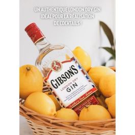 Ginebra Gibson 70cl