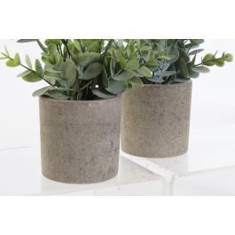 Planta DKD Home Decor Verde Verde Musgo 11 x 24 x 11 cm (12 Unidades)