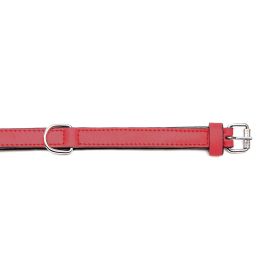 Gloria Collar Piel Acolchado Rojo 35 cm X 15 mm Precio: 7.49999987. SKU: S6102204