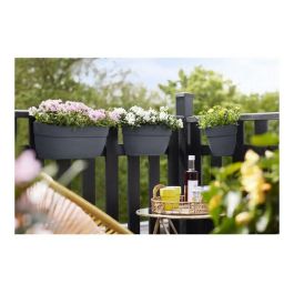 Elho Maceta Vibia Campana Easy Hanger Large Antracita Balcón Exterior L 24,1 x P 46 x H 26,5 cm