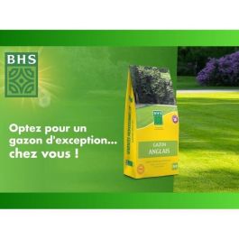 Césped inglés BHS - 5 kg para jardines de alta gama Césped inglés BHS - 5 kg para jardines de alta gama