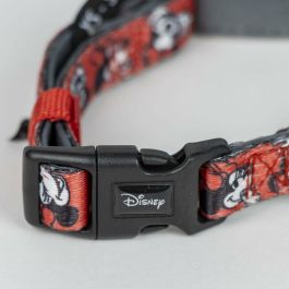 Collar premium para perros XXS/XS minnie t1XXS:XXS/XS