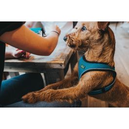 Hunter Arnés para Perro Hilo Comfort M-L - Malla 3D, Reflectante, Ligero, Transpirable - Marrón (Cuello 58-63cm, Pecho 65-70cm) Precio: 22.49999961. SKU: S6103685