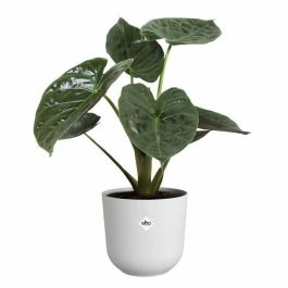 Elho ELH2943203545100 Maceta Jazz Redonda Blanca L 35 x An 34,5 x Al 32 cm Interior 100% reciclado