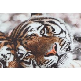 DKD Home Decor Cuadro Decorativo Colonial Multicolor con Diseño de Tigres sobre Lienzo y MDF 80x40 cm - Pack 2 Unidades Surtidos