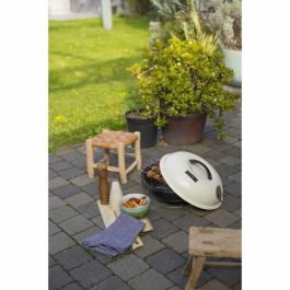 Livoo DOC301 Barbacoa de Carbón Portátil Ø34 cm, Parrilla Cromada, Acero Esmaltado, Champán y Negro
