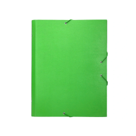 Liderpapel Carpeta Clasificadora Folio Prolongado Verde Claro 12 Departamentos Cartón Forrado