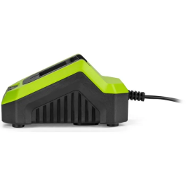 Fieldmann Cargador Rápido FIE8590669303953 para Batería de 20V - Carga 2Ah en 60 Minutos