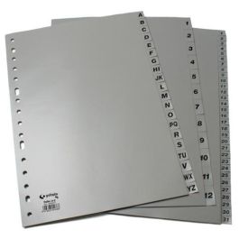 Grafoplas Separadores Numericos A4 Pp 1-31 Posiciones 16 Taladros Opaco Gris Precio: 2.50000036. SKU: B175LYKDVD
