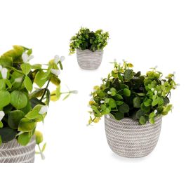 Planta Verde Flor Blanca Con Maceta Gris Ibergarden 20X20CM (8 Unidades) Precio: 57.49999981. SKU: B12N2RYR55