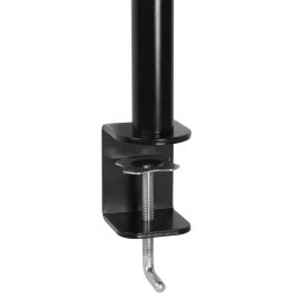 ARCTIC Z1 Basic Soporte de Escritorio para 1 Monitor de 13" a 32" (81.3cm) hasta 8kg, Abrazadera, Negro