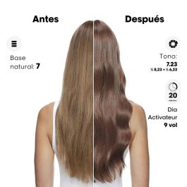 L'Oréal Professionnel Paris DIA COLOR #6.3 Coloración Semipermanente Sin Amoniaco 60 ml