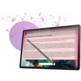 Lenovo Idea Tab Pro 256GB Almacenamiento 12GB RAM 3K 12.7" Android 14 Wi-Fi Gris