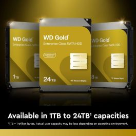 Western Digital WD8005FRYZ Disco Duro Interno Gold 8 TB 7200 RPM 128 MB 3.5" SATA III