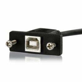 Cable USB Startech USBPNLBFBM1 USB B Negro Cable USB Startech USBPNLBFBM1 USB B Negro