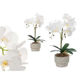Orquidea Maceta Cemento Blanca 2 Varas Ibergarden 16X52CM (6 Unidades) Precio: 46.78999941. SKU: B1KJYAGLCN