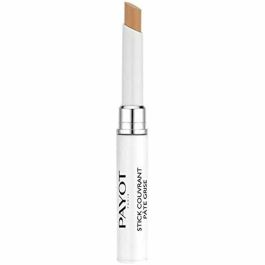 Payot PÂTE GRISE Stylo Duo Purificante Corrector de Maquillaje - Loción Tratante y Color para Imperfecciones 2x3ml