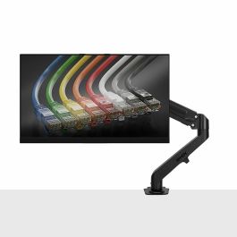 Soporte de Mesa para Pantalla LINDY EINZELMONTAGE - SCHWARZ