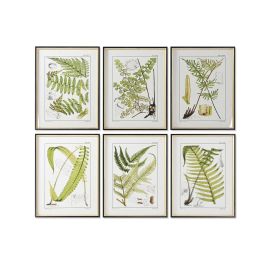 DKD Home Decor Cuadro Moderno de Pared con Diseño Helecho, Negro y Dorado, Madera Abeto y Cristal, 65x50 cm, Pack de 6 Unidades