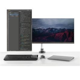 Soporte de Mesa para Pantalla Startech ARMDUAL30