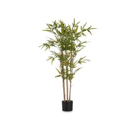Planta con Maceta Bambú Pequeño 120 cm Ibergarden - Verde, 70x70x120 cm Planta con Maceta Bambú Pequeño 120 cm Ibergarden - Verde, 70x70x120 cm