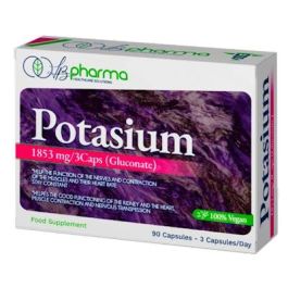 LB PHARMA Potasio 90 Cap LB PHARMA Potasio 90 Cap Precio: 10.89. SKU: B1B4JLS8LY