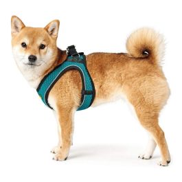 Arnés Hilo Comfort M Cuello: 55-60 cm Turquesa