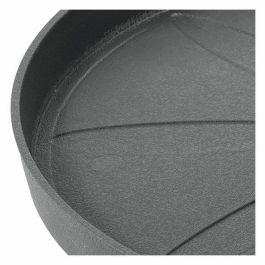 Deroma DER0191942095633 Platillo para Maceta Origen de 49,5 cm x 4,5 cm Alto, Color Gris Deroma DER0191942095633 Platillo para Maceta Origen de 49,5 cm x 4,5 cm Alto, Color Gris