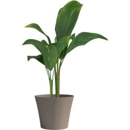 Garden Id 02041107 Maceta Green Care Sense Taupe 40x34 cm - 100% Reciclada, Resistente UV y Heladas, 10 Años Garantía Garden Id 02041107 Maceta Green Care Sense Taupe 40x34 cm - 100% Reciclada, Resistente UV y Heladas, 10 Años Garantía