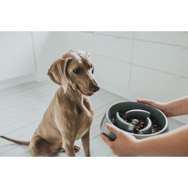 Hunter Comedero Anti-Glotón Atlanta para Perros 900 mL Melamina Gris Antideslizante Lavavajillas