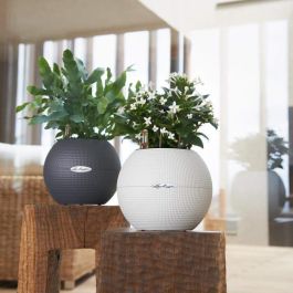 LECHUZA Jardinera PURO Color 50 TODO EN UNO diámetro 49 cm blanco 446115