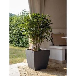 Jardinera - DIVA BASALT - Gris antracita - Cuadrada - 42 L - 43,5 x 43,5 x Al. 44,2 cm - EDA - Caja interior extraíble Jardinera - DIVA BASALT - Gris antracita - Cuadrada - 42 L - 43,5 x 43,5 x Al. 44,2 cm - EDA - Caja interior extraíble