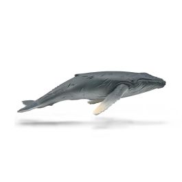 Cría De Ballena Jorobada - M - 88963 - Collecta Precio: 5.9532. SKU: B1FWEPWW7A