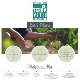 Baron de Lestac 2019 Burdeos - Vino tinto Burdeos - Terra Vitis