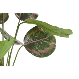 DKD Home Decor Planta Artificial Verde Rosa Polietileno (PE) 58 cm Alto (Pack 6 Unidades) DKD Home Decor Planta Artificial Verde Rosa Polietileno (PE) 58 cm Alto (Pack 6 Unidades)