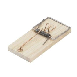 Sauvic Ratonera 'tabla' tamaño nº1, 4,8 x 11 x 1,2 cm, blister 2 uds Precio: 4.68999993. SKU: S7914846