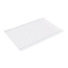 Liderpapel Recambio A5 100 Hojas 75gr Horizontal Con Margen 6 Taladros