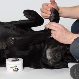 Pawz Maxwax Protector de Almohadillas para Perros 200 gr, Protege contra Asfalto Caliente, Nieve, Hielo y Químicos