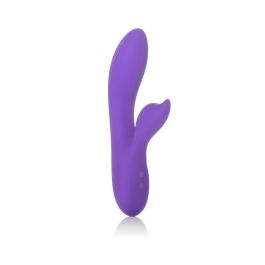 Vibrador Punto G California Exotic Novelties Violeta Vibrador Punto G California Exotic Novelties Violeta Precio: 76.4999994. SKU: B1J2FQSLHS