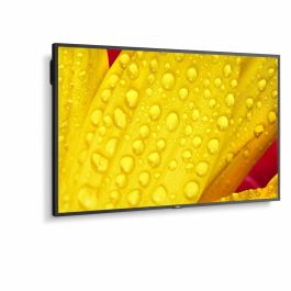 Monitor NEC 60005048 43" 4K Ultra HD LED 43" IPS 50-60 Hz Precio: 688.49999944. SKU: B1F6EF26YK