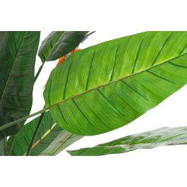 Planta DKD Home Decor 100 x 145 x 100 cm Planta DKD Home Decor 100 x 145 x 100 cm
