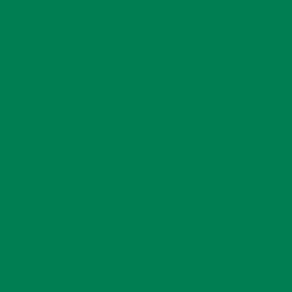Cricut 2011602 Vinilo Adhesivo Permanente Verde Mate - 0,9 mm x 330 mm