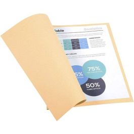 Exacompta Subcarpeta de cartulina 100% reciclada Blue Angel DIN A4, 220 g/m², color crema Precio: 21.49999995. SKU: B159PDEQ8V