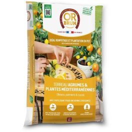 Tierra para cítricos y plantas mediterráneas - BROWN GOLD - OBRTAGR6U - 6L - Olivos, palmeras y cycas Precio: 23.50000048. SKU: B1HBHD5D8W
