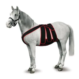 Foal Post Colic Surgery Kit, Size L Precio: 310.4999997. SKU: B1JEEW6XYG