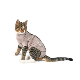 Body Buster Step Go Para Gatos XXS Kruuse Precio: 32.88999978. SKU: B1CCZN2WFW