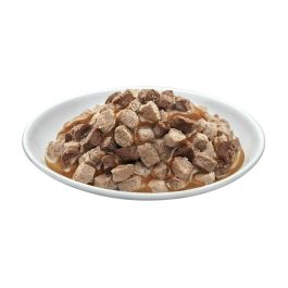 Comida para gato Prevital