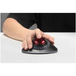 Ratón Inalámbrico Kensington K70992WW Negro (1 unidad)